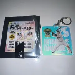 Item thumbnail for item a3a0ed29-9085-45c7-aac4-66edec9a3e13