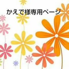 かえで様専用ページ