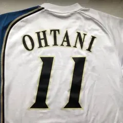 Item thumbnail for item 17f4c245-9c4a-4923-a989-45566e5bff01