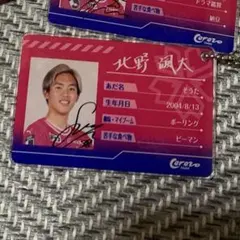 ぽむりん様　専用ページ