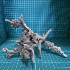 小流木 水槽用流木 アクアリウム　k529