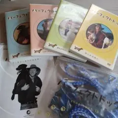 Item thumbnail for item 087fe22d-47f7-4820-8314-2d9a8892dd02