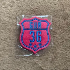 ワッペンバッジ 岩田剛典ver