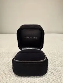 TIFFANY&CO リングケース 空箱