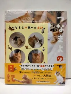 Item thumbnail for item 2c8e547f-3ea6-4e2c-b8cc-d9b806509a26