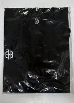 真天地開闢集団ジグザグ参拝装束 凛 定番2024 Tシャツ　新品未使用品のサムネイル