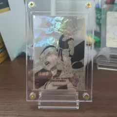 極美品最安値】孫悟空 apt-004 パラレル ローダー付き - メルカリ