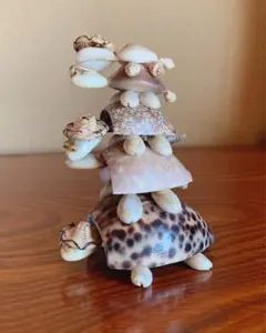 2026年最新】貝殻のカメの人気アイテム - メルカリ