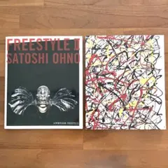 【美品】嵐 大野智 作品集 FREESTYLE Ⅱ ＆ 2020 ポスターつき
