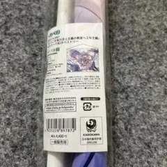 Item thumbnail for item ddb3d4bd-147c-4d1b-a73d-b7694190c76c