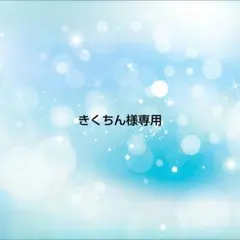 きくちん様専用