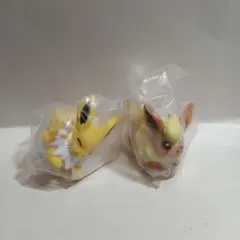ポケモンキッズ　サンダースとブースター④