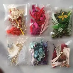 【ミニ花材6袋セット】《3》ブリザードフラワー　ドライフラワー