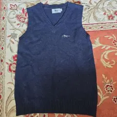 Item thumbnail for item 4274ca8c-225f-46b3-a4c3-6bc1745cbc5e