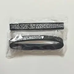 INI 西洸人 カプセルトイ ラバーバンド（2個）