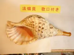 2025年最新】法螺貝笛の人気アイテム - メルカリ