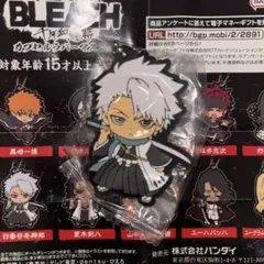 BLEACH EX. シックアクリルキーホルダー 日番谷冬獅郎 BLEACH EX. シックアクリルキーホルダー 日番谷冬獅郎