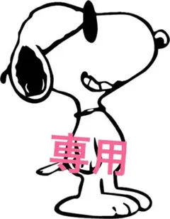 専用
