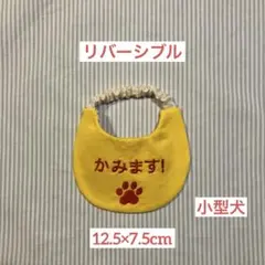 Item thumbnail for item 66376a8c-17dc-40f5-bd34-cb0041fa9352