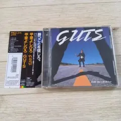 甲斐よしひろ/ガッツ