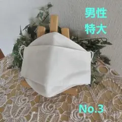 大人　男性　大きめ　特大　ハンドメイド布マスク　No.3　Wガーゼ