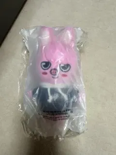 SKZOO PLUSH MINI DWAEKKI トェッキ　ミニ　トゥエッキ