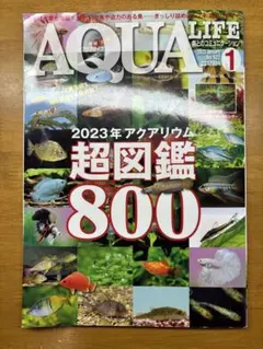 月刊アクアライフ 2023年1月号 No.522のサムネイル