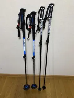 スキーストック2セット