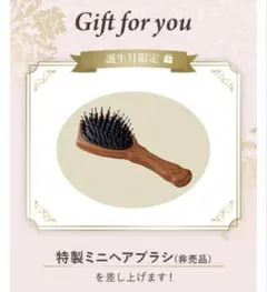 【SABON】サボン　非売品ヘアブラシのサムネイル