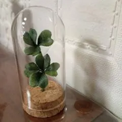 クレイフラワー ガラスドーム入り四つ葉