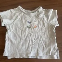 恐竜刺繍 半袖Tシャツ ベビー服