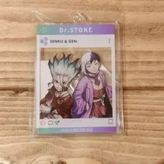 Dr.STONE 石神千空 あさぎりゲン ビューティー計画 アクリルスタンド