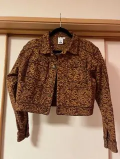 Hollister デニムジャケット パイソン柄 クロップド丈 L - メルカリ