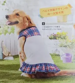 Item thumbnail for item 6c0b5772-a073-4461-bc30-e78c2d5d86f3