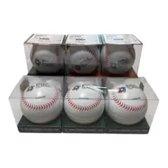 2025日本シリーズ　試合球　ホークスＶＳタイガース　NPB ボール 2個セット 2025日本シリーズ 試合球 ホークスVSタイガース NPB ボール 2個