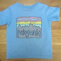 Patagonia 水色 Tシャツ４T