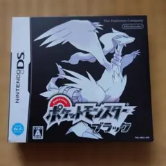 ポケットモンスター ブラック DS ソフト　外箱・説明書付き 動作確認済み