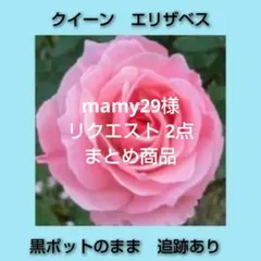 mamy29様 リクエスト 2点 まとめ商品