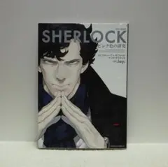 SHERLOCK ピンク色の研究（カドカワコミックス・エース）【即購入OK】