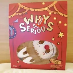 【新品未使用】WHY SO SERIOUS LABUBU キャンディーポーチ