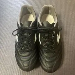 モナルシーダNEO III SW 26.0㎝