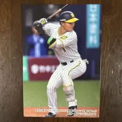 2023 プロ野球チップスカード 阪神タイガース 森下 チェックリスト