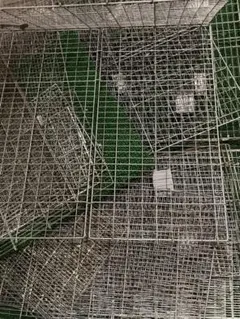 Item thumbnail for item c19c9f12-eefe-4dfd-a88f-da02a328ef14