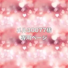メル30077様 リクエスト 2点 まとめ商品
