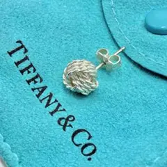 TIFFANY＆Co.ティファニー サマセット フープ・メッシュ プレーン