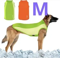 Item thumbnail for item dfb09ed3-0169-4684-a6ff-01c90ab37658