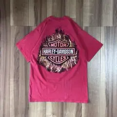 【超希少】vintage古着Harley-Davidson イーグルフレイムTのサムネイル