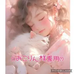 ♡みこりん様専用♡