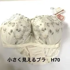 チュチュアンナ　ブラジャーショーツセット H70 小さく見せる　永遠のブラ