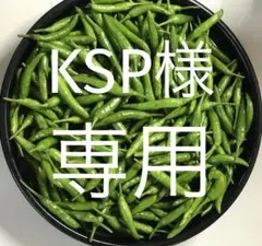 ☀激辛青唐辛子 サンクス限定販売品　5kg 2025年最新】激辛唐辛子の人気アイテム - メルカリ